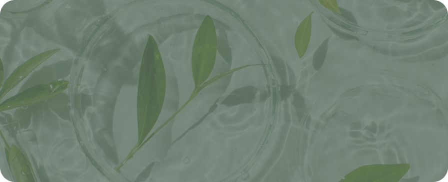 Lifestyle support service image