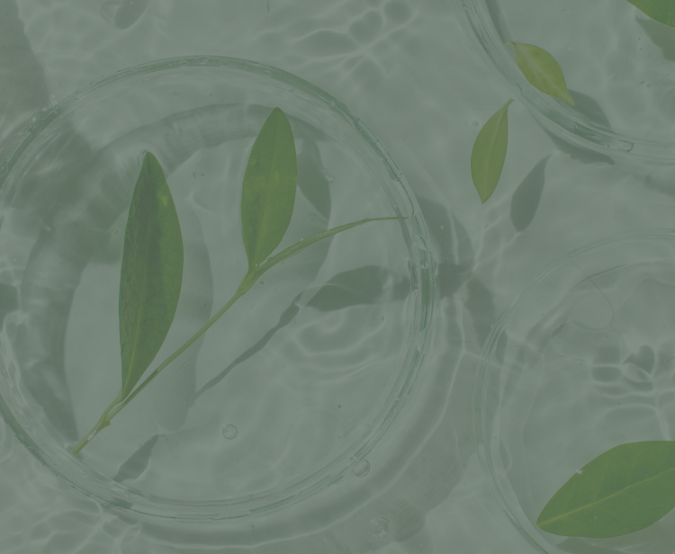 暮らしサポートオプションのイメージ